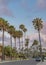 Vertical Puffy clouds at sunset Residential area at La Jolla in California with palm trees along