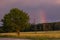 Vertical rainbow over purple sky above grain field