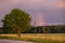 Vertical rainbow over purple sky above grain field