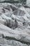 Vertical of Rakaposhi glacier in Minapin, Karakoram highway, Pakistan