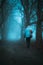 Vertical rear view of person walking in park alley surrounded by trees on foggy autumn day