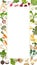 Vertical rectangular banner with carrot, Beetroot, Celery, Parsley, Daikon, Parsnip, Rutabaga, Turnip, Yellow turnip