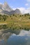 Vertical reflection of Aiguille noire