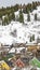 Vertical Residential area and lush coniferous trees on a mountain with snow in winter