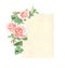 Vertical retro card with branch of Climbing rose with pink flowers
