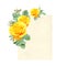 Vertical retro card with branch of Climbing rose with yellow flowers