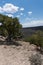 Vertical, Rio Grande Del Norte overlook eastern view.