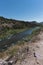 Vertical, of the Rio Grande Flows near Taos New Mexico.