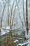 Vertical of river surrounded by trees covered in snow