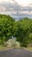 Vertical Road amid prolific trees and grasses with mountain and cloudy sky background