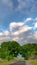 Vertical Road and lush trees on a vast field with homes and mountain in the background