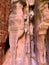 Vertical Rocks Boynton Canyon, Arizona