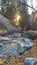 Vertical Rocky creek on a forest with the ground covered in fallen leaves in autumn