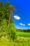 Vertical rural summer landscape. Finland