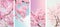 Vertical Sakura Flower Banners: White and Pink Blossoms Set for Stunning Spring Nature Backgrounds.