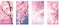 Vertical Sakura Flower Banners: White and Pink Blossoms Set for Stunning Spring Nature Backgrounds.