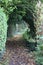 Vertical of a scenic park trail covered in fallen leaves and tilted green tree branches on it