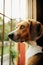 Vertical selective focus shot of a brown dog looking out the window