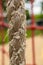 Vertical selective focus shot of a damaged rope in the playground