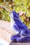 Vertical selective focus shot of a purple frog-shaped water fountain in a garden on a sunny day
