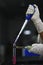 Vertical selective focus shot of a scientist micro pipetting a red liquid