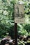 Vertical selective focus shot of a sign with the word silence written on it in the forest