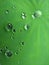 Vertical selective focus shot of waterdrops on a vibrant green lotus leaf texture