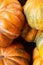 Vertical set many orange pumpkins mini ribbed close-up background foundation harvest autumn