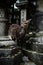 Vertical shot of an adorable deer near the ruins