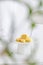 Vertical shot of aesthetic table setup with traditional Chinese osmanthus cake