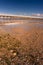 Vertical shot of an afternoon at the Long Jetty, Port Welshpool