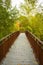 Vertical shot of anarrow metal gangway in a park, France surrounded by lush autumn vegetation