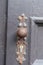 Vertical shot of an antique doorknob on a wooden door