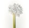 Vertical shot of an artificial flower with wooden stem and white nylon petals