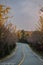 Vertical shot of an asphalted countryside road surrounded by trees in fall colors