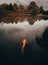 Vertical shot of an autumn landscape in St. Louis botanical gardens with a fish swimming in the lake