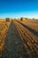 Vertical shot of a baled wheat field with big hay rolls