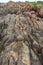 Vertical shot of beach rock texture, the pattern of rocks