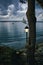 Vertical shot of a beach with a tree and a lamp in Shanklin, Isle of Wight, England, United Kingdom