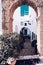 Vertical shot of beautiful archway and houses decorated with plants in Frigiliana, Spain
