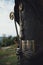 Vertical shot of a beautiful bronze statue on a field