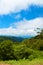 Vertical shot of a beautiful green tree forest in Serra do Mar, Parana, Brasil