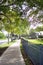 Vertical shot of the beautiful lush Baldwin Park on a sunny day in Orlando, United States