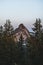 Vertical shot of a beautiful mountain peak with silhouettes of pine trees in foreground at sunset