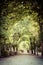 Vertical shot of a beautiful park with trees forming an arch in Schonbrunn, Vienna