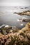 Vertical shot of a beautiful shore of Point Lobos State Natural Reserve, California, USA