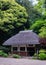 Vertical shot of a beautiful small house in Koishikawa Botanical Gardens, Tokyo