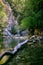 Vertical shot of the beautiful view of the lake and forest in Arche de Ponadieu wildlife park