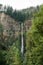 Vertical shot of the Benson Bridge over Multnomah Falls during the day