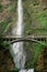 Vertical shot of the Benson Bridge over Multnomah Falls during the day